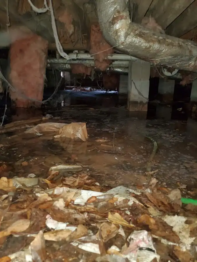 Crawl space flood assessment for Commercial Water Damage Restoration in Larkspur