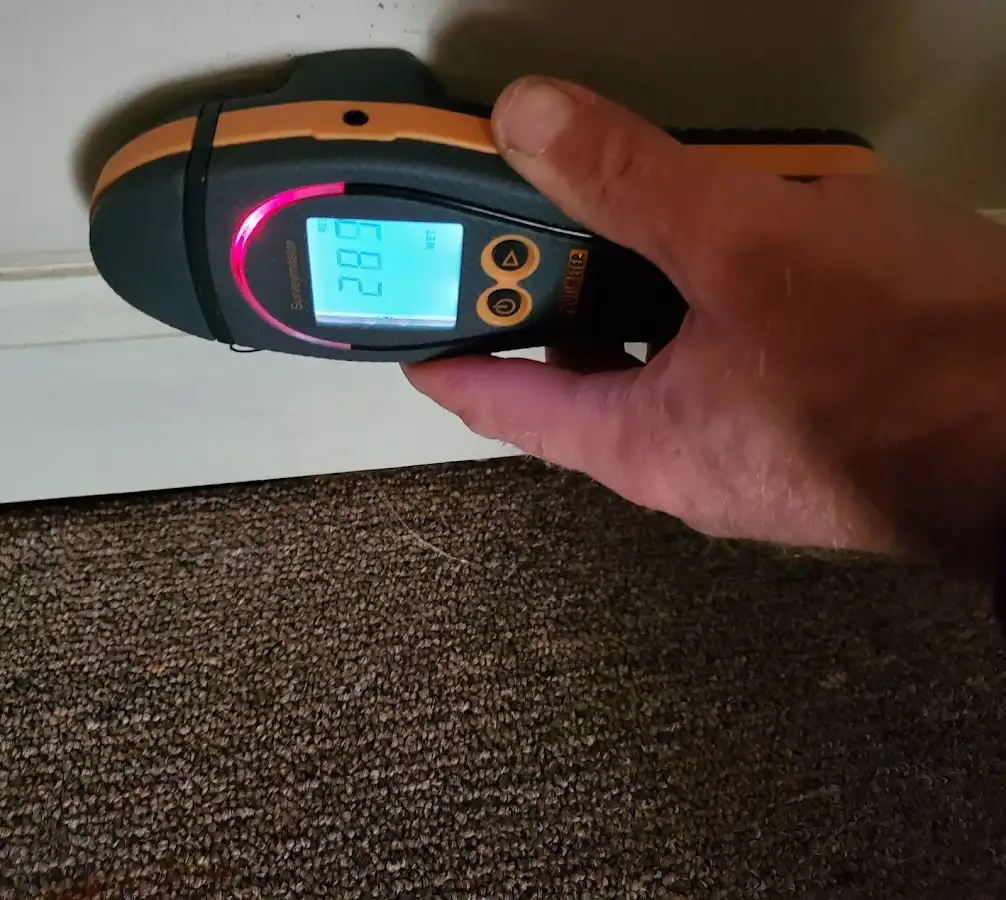 Moisture detection at baseboard during Burst Pipe Cleanup in Larkspur